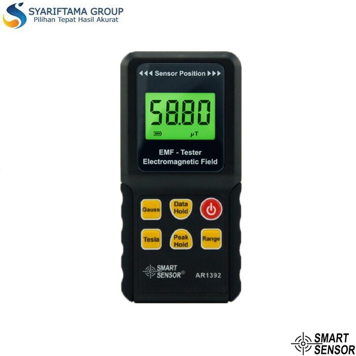 Smart Sensor AR1392 Electromagnetic Radiation Meter