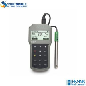 Hanna HI-98190 Professional Waterproof Portable pH/ORP Meter